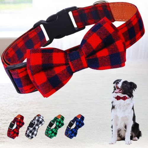Ce colley assis portant à son cou, un collier pour chien au motif écossais avec un nœud papillons de couleur rouge, noir aussi disponible en blanc, noir, vert, noir et bleu, noir.
