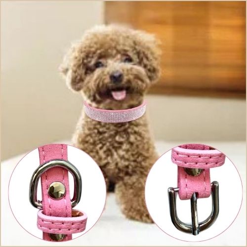 Collier chien-CrystalCanine™ : Ce caniche assis, portant son collier chien en cuir doux de couleur rose, orné de strass brillant avec un anneau en D en acier inoxydable et une fermeture classique lui rend beaucoup plus mignon