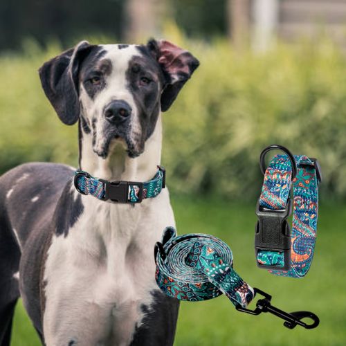 Collier chien-BohoBliss™ : Votre Dogue Allemand est en sécurité avec ce collier chien au motif bohémien, accompagné d'une Laisse 