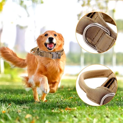 Collier chien-AlphaGear ™ : Ce collier chien tactique de couleur  kaki procure confort à votre Golden retriever lui permettant de courir peinard dans le parc