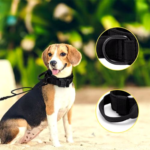 Collier chien-AlphaGear ™ : Ce collier chien de couleur noir est magnifique et procure sécurité à votre beagle avec une taille M qui lui va très bien