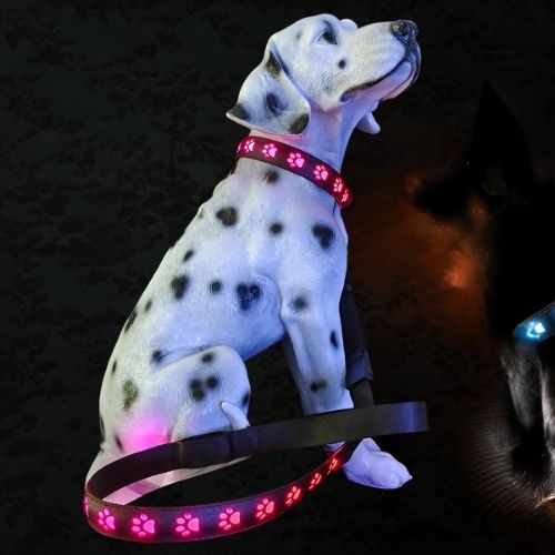 Ce dogue allemand assis porte un collier chien lumineux de couleur rouge très visible dans le noir.