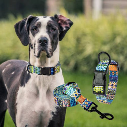 Le collier pour chien aux motifs bohémiens, offrez un confort à ce Dogue Allemand au parc, accompagné d'une Laisse.
