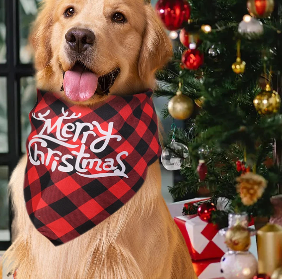 Ce collier pour chien avec foulard carrelé rouge-noir et motif de noël fièrement porté par le chien Golden Retriever tout content près du sapin.