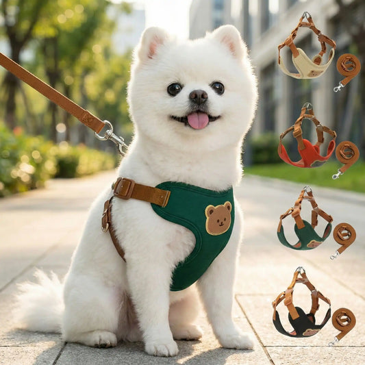 Harnais pour chien vert confortable avec laisse, chien blanc assis en extérieu