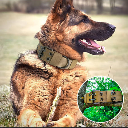 Collier de dressage pour chien-EnduroBelt™ : Ayez plus de contrôle sur votre toutou avec ce collier chien en nylon de couleur vert militaire conçus pour les chiens puissants comme ce berger allemand
