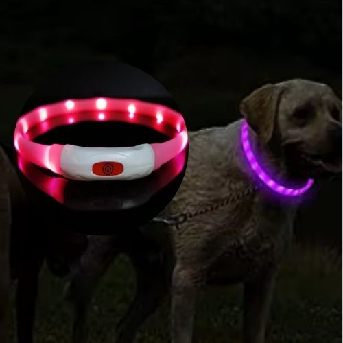 Un labrador se balade avec son maître dans l'obscurité et porte le collier lumineux pour chien rose visible de loin.