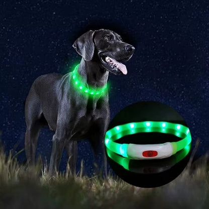 Ce labrador au pelage noir arrêté dans les herbes porte un collier lumineux pour chien de couleur verte bien visible de loin.