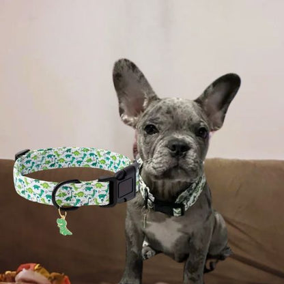 Ce petit bouledogue français, assis, tranquillement avec son collier chien de couleur verte, au motif de dinosaures avec un pendentif en dinosaure.