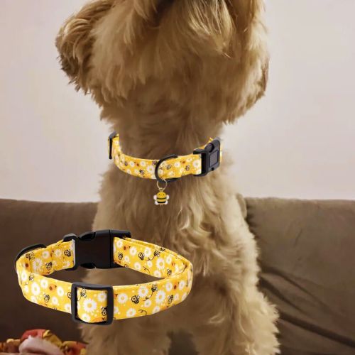 Ce collier chien avec des motifs d’abeilles et un pendentif en métal en forme d’abeille de couleur jaune s’harmonise parfaitement avec le pelage de votre Loulou au pelage marron assis sur le canapé.