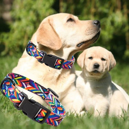 Ce Labrador est heureux au parc avec son petit avec le collier pour chien au motif bohémien, accompagné d'une Laisse.
