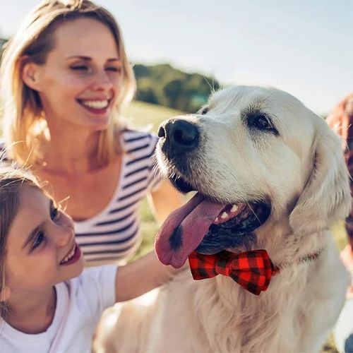 Cette maman et sa fille s’amusant avec leur labrador au parc qui porte un collier pour chien de couleur rouge-noir au motif écossais avec un nœud papillon.
