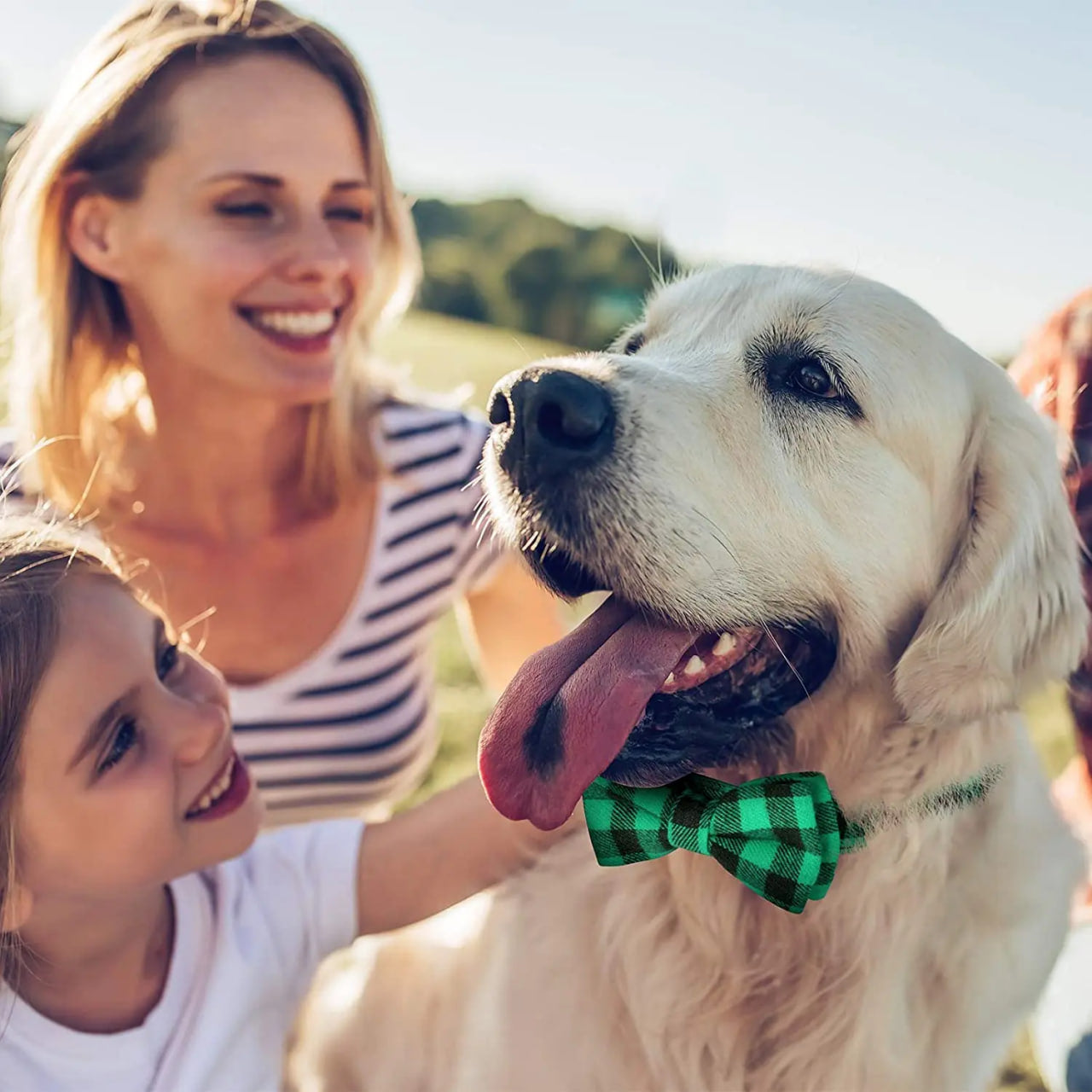 Cette maman et sa fille s’amusant avec leur labrador au parc qui porte un collier pour chien de couleur vert-noir au motif écossais avec un nœud papillon.
