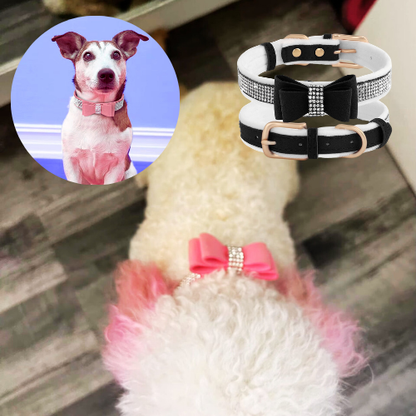 Ce chien pelage porte un collier pour chien en daim doux orné de strass scintillant et d’un nœud papillon de couleur rose bien marie à sa race.