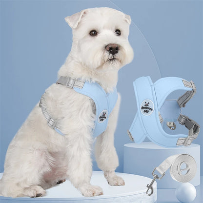 Harnais pour chien-GentleGrip™ :  Le petit chien porte son harnais en  polyester et coton, tout en étant rembourré en éponge pour un confort optimal en forme de X de couleur bleu tenu par une laisse