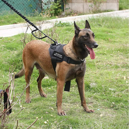 Harnais anti traction chien-CombatHarn™ : Gilet pour chien Harnais pour chien de travail