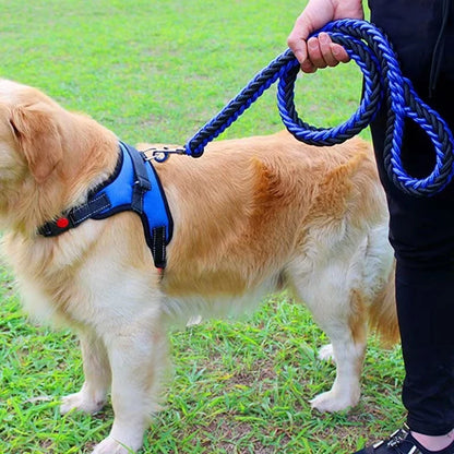 Laisse chien-StrongSFP™ : Ce labrador arrêter près de maitre avec une  laisse en nylon tresser de couleur bleu et noir