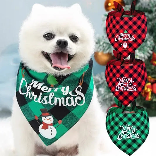 Collier Chien-BandanaXmas™ : Ce collier chien avec foulard carrelé vert-noir et motif de noël est confortable et fièrement porté par ce mignon Loulou de Poméranie.