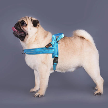 Harnais pour chien-ComfyStrap™ : Ce bouledogue français profitant du confort de l'harnais empêchant la traction et l’étouffement de couleur bleu avec des coutures réfléchissante
