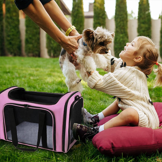 Une petite fille assise qui tient un spitz soti d'un chien sac de transort de couleur rose