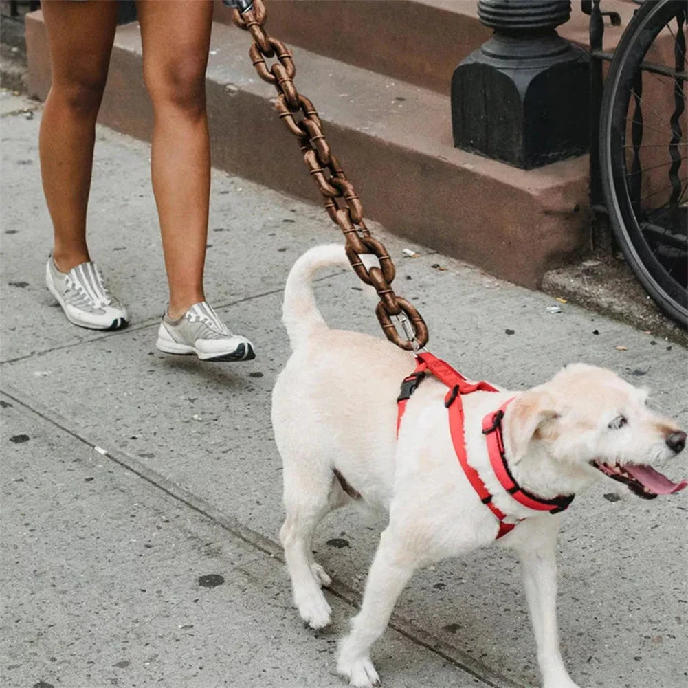 Laisse pour chien : Ce teckel se promène à la ferme avec sa maitresse qui tient une laisse en chaine PVC antirouille de couleur grise