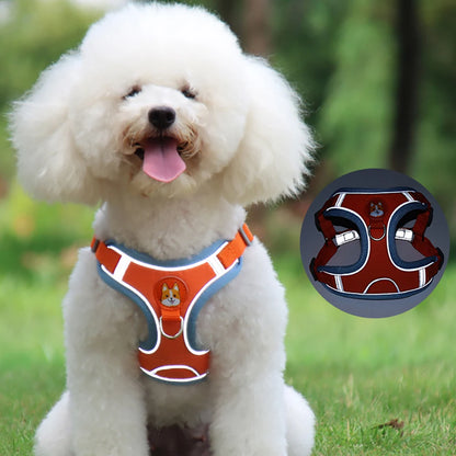 Harnais chien-ChicHarn™ : Un caniche est assis au parc avec son harnais en tissu Oxford durable, respirant et rembourré de couleur orange avec des contours bleu clair doté de matériaux réfléchissant