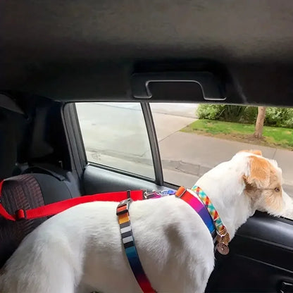 Laisse de chien-BeltBliss™ : Ce chien regarde par la fenêtre de la voiture maintenu par une laisse en nylon de couleur rouge accroché aux appui-tête du siège qui fait aussi office de ceinture de sécurité