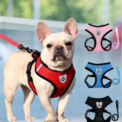 Chien harnais-HarnSFP™ : 