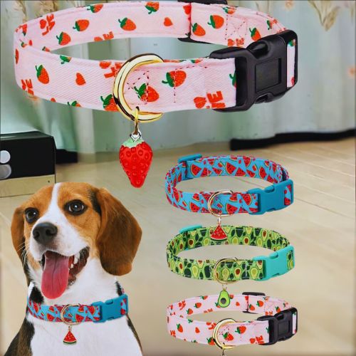 Ce teckel apaisé par la douceur et le confort de ce collier chien au motif de fruit et ce pendentif en forme de pastèque, disponible en différentes tailles