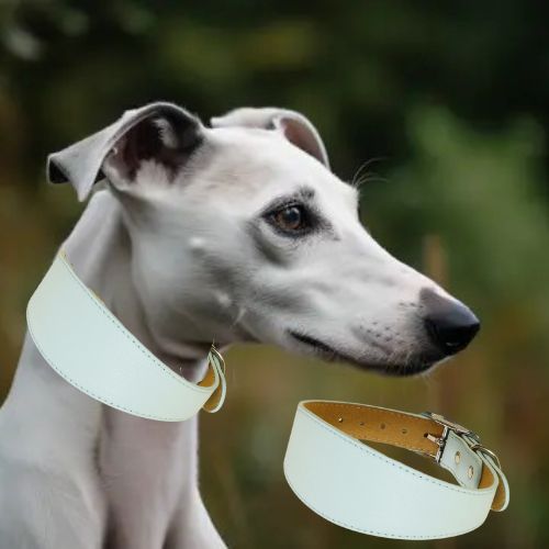 Collier chien-FilledNeck™ : Ce collier chien en cuir de couleur bleu est spécialement conçu pour s’adapter au long cou des chiens comme le lévrier