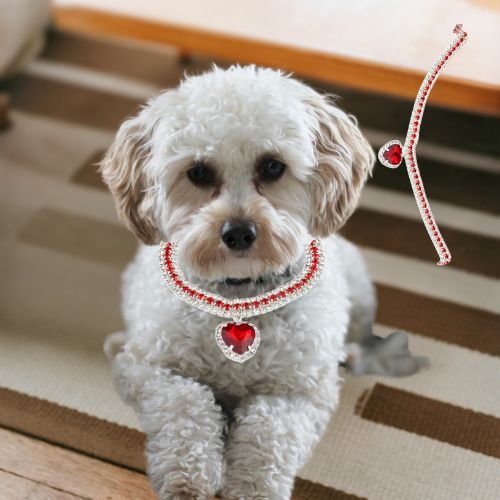 Collier chien-CuteHeart™ : Ce collier chien orné de strass brillant de couleur rouge et d’un pendentif en forme de cœur fait passer votre Caniche pour une star de la mode