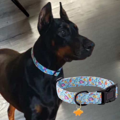 Collier chien-PendentifECP009™ : C’est Dobermann arrêté sur le parquet portant son collier chien de couleur bleu au motifs de dinosaures avec un pendentif en métal de couleur jaune en forme de dinosaure