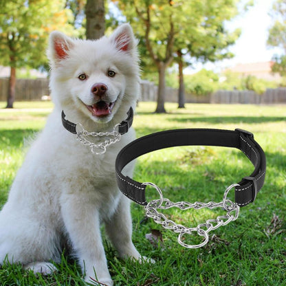 Collier de dressage pour chien-NyloSteel™ : Ce petit husky assis au parc en toute sécurité avec son collier chien en nylon de couleur noire avec couture réfléchissante et  un alliage de chaînette en acier inoxydable