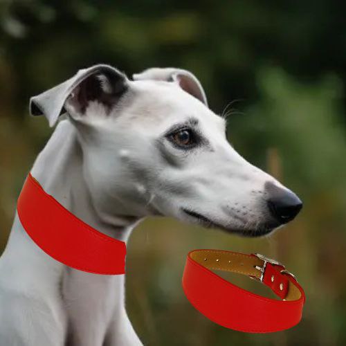 Collier chien-FilledNeck™ : Ce collier chien en cuire de couleur rouge, apporte du confort et un support au cou des lévriers