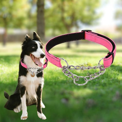 Collier de dressage pour chien-NyloSteel™ : Ce colley assis au parc avec un look décontracté grâce à son collier chien en nylon de couleur rose avec couture réfléchissante et  un alliage de chaînette en acier inoxydable