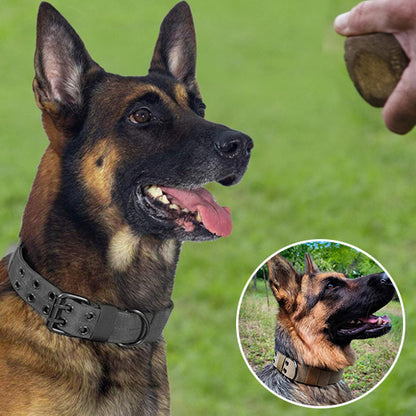Collier de dressage pour chien-EnduroBelt™ : Votre malinois est stylé avec ce collier chien en nylon, très solide, de couleur noir