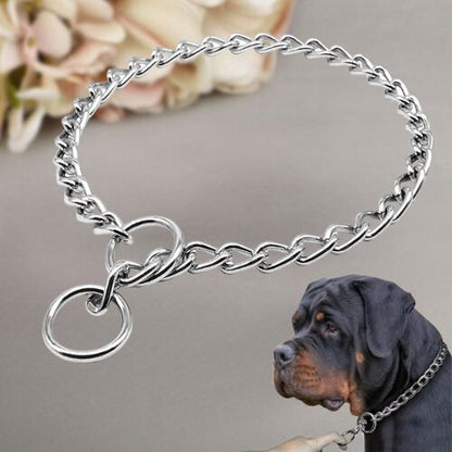 Collier de dressage pour chien-DogControl™ : Ce Rotweiller maîtriser par son maître grâce a ce collier chien d’étranglement en acier inoxydable de couleur argentée