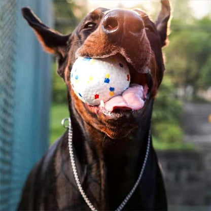 Un Dobermann joyeux tenant une balle chien blanche mouchetée dans la gueule au soleil.