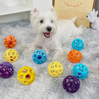 West Highland White Terrier entouré de plusieurs balles pour chien colorées sur un tapis gris.