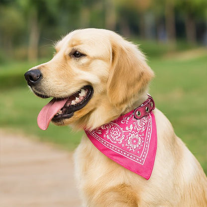 Golden Retriever adulte portant un bandana chien rose fuchsia dans un parc.