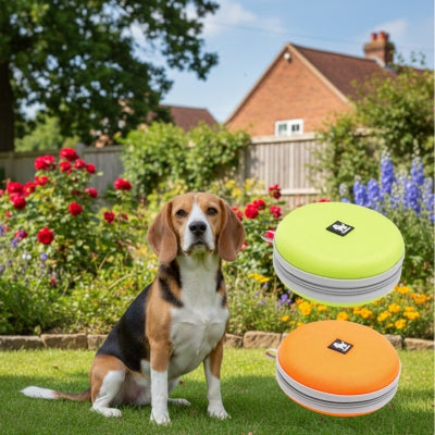 Beagle assis dans un jardin avec une gamelle chien orange et une verte, format fermé.