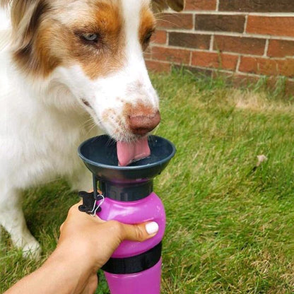 Chien de type Berger Australien lapant l'eau d'une gourde pour chien rose avec attache os.