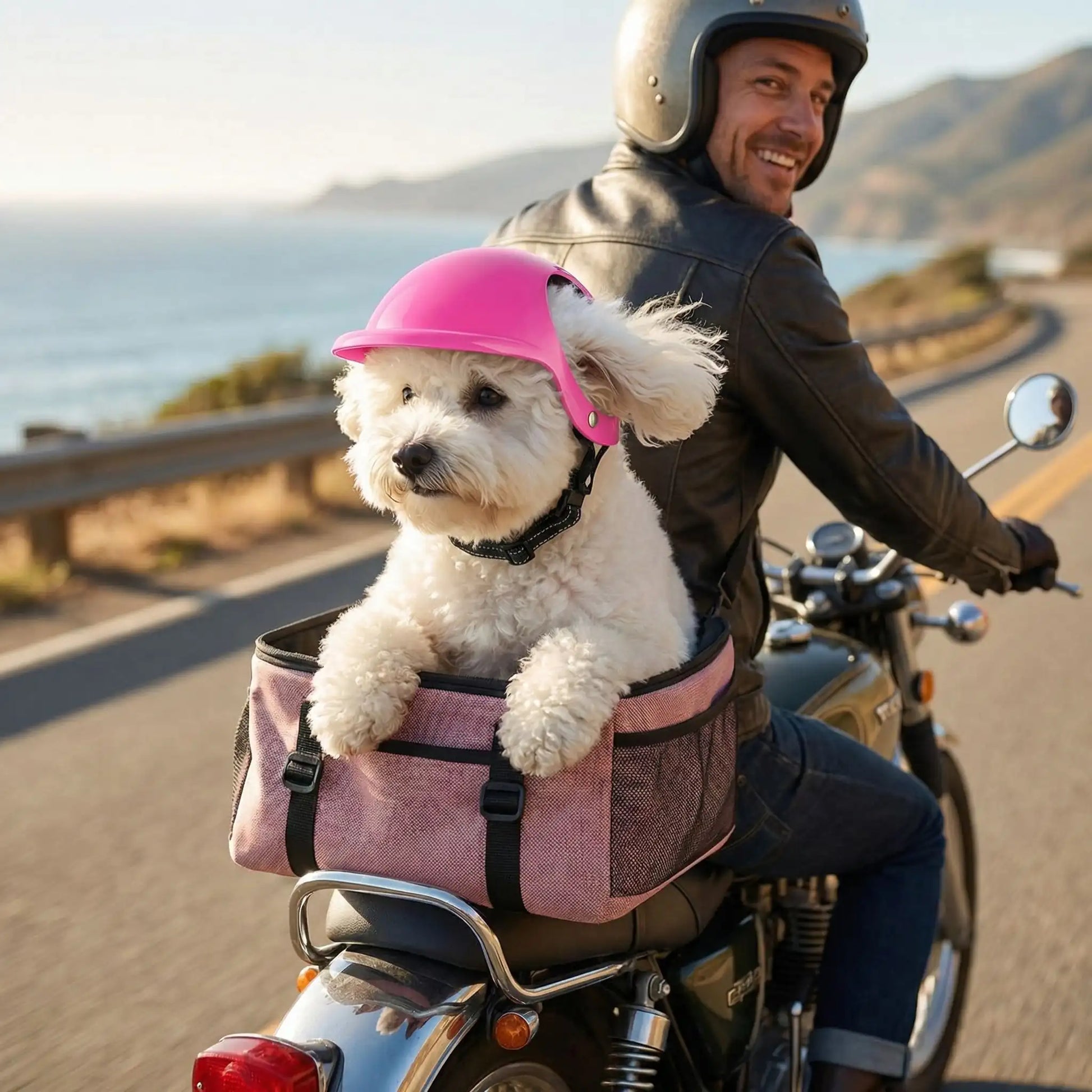 Bichon frisé portant un casque moto pour chien rose, dans un panier rose sur une moto.