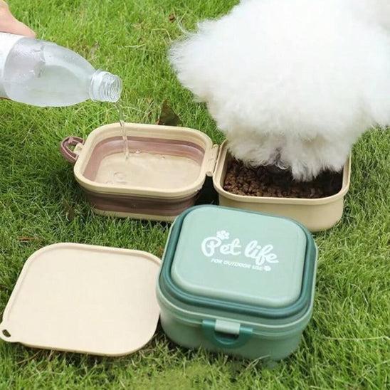 Bichon frisé mangeant dans une gamelle chien double avec compartiment eau rempli.