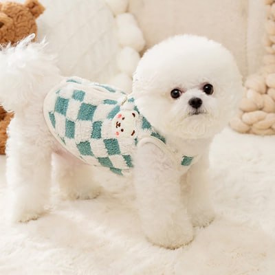 Bichon frisé portant un pull pour chien à carreaux bleu et blanc avec un motif d'ours.