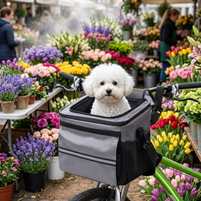 Un Bichon frisé blanc dans un velo panier chien gris devant un étal de fleurs colorées.