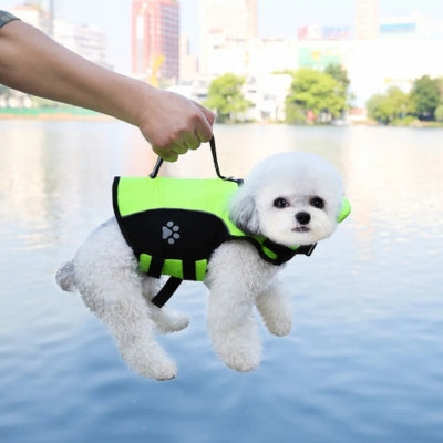 Bichon frisé soulevé au-dessus de l'eau par la poignée de son gilet de sauvetage pour chien jaune.
