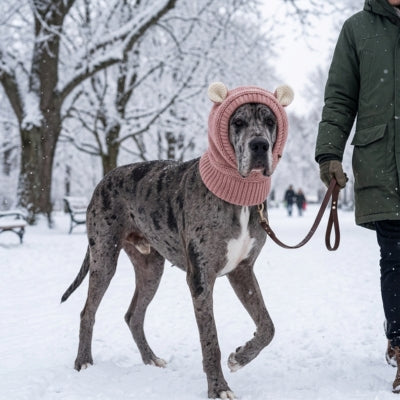 Grand Danois arlequin avec un bonnet chien rose à oreilles blanches dans la neige.