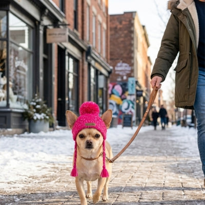 Petit Chihuahua avec un bonnet chien rose marchant sur un trottoir pavé et enneigé en ville.