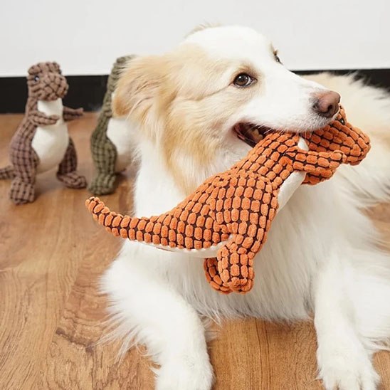 Border Collie couché tenant une peluche pour chiens dinosaure orange dans sa gueule.